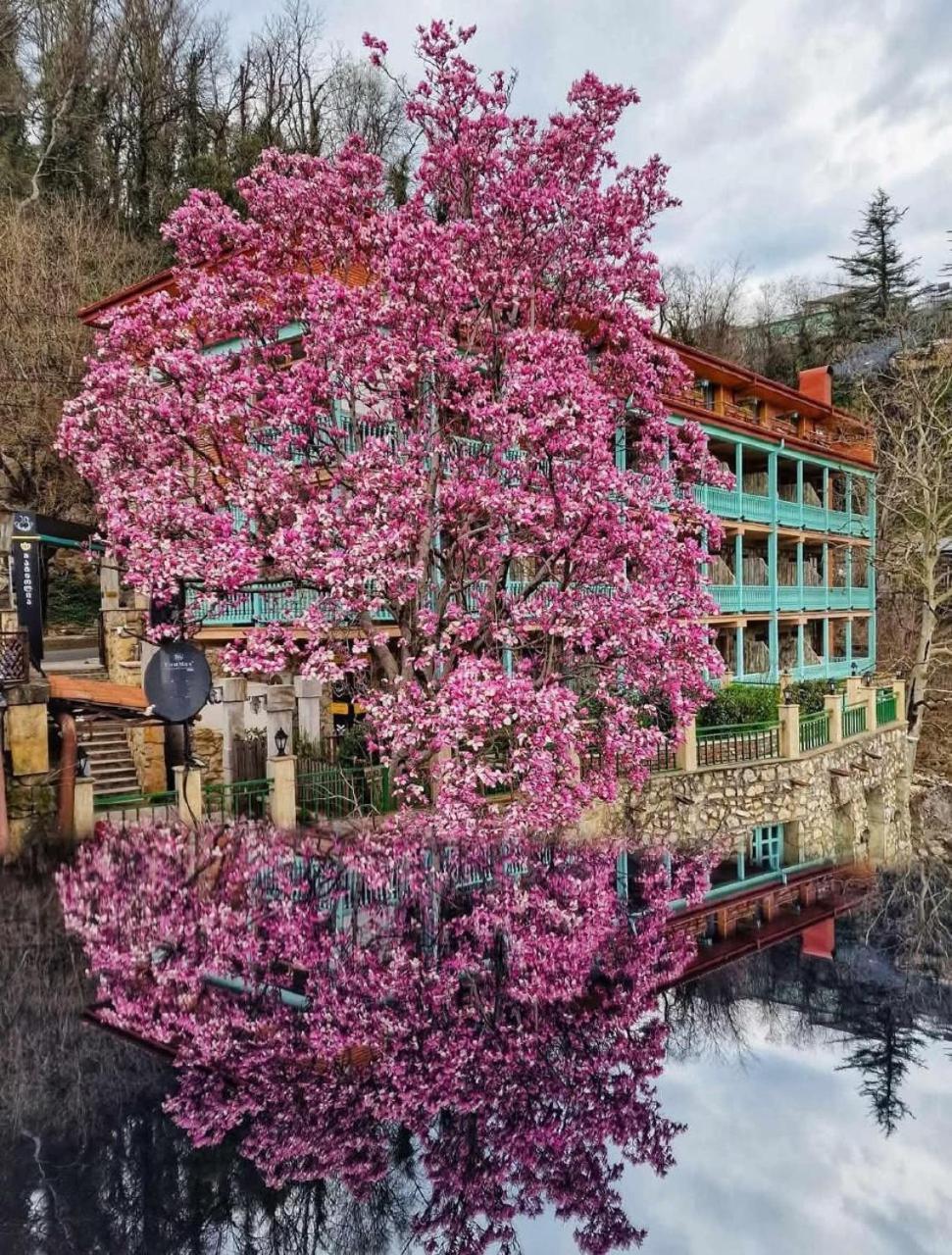 Old Tbilisi Narikala Apartment Esterno foto